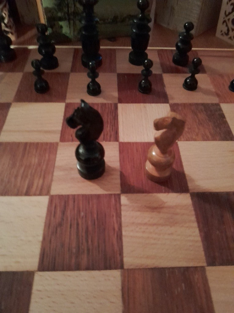 Image #15