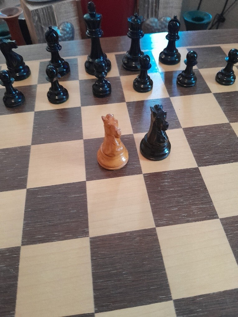 Image #16