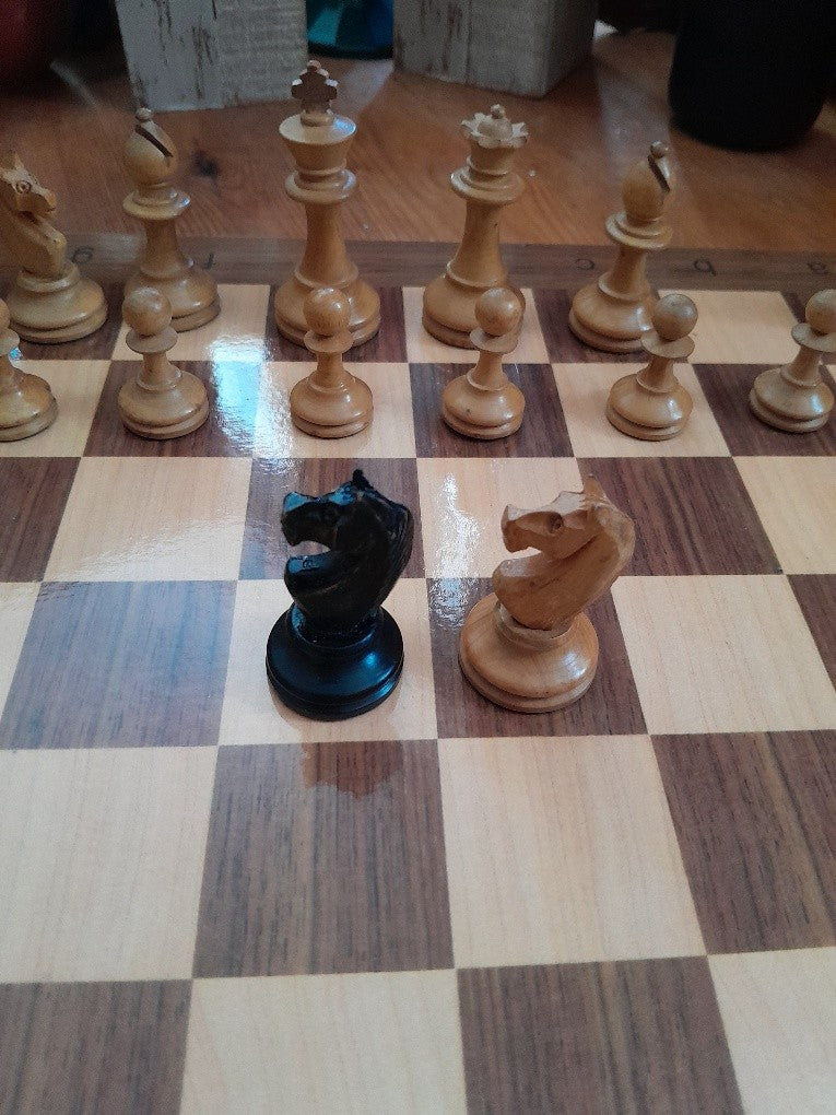 Image #14