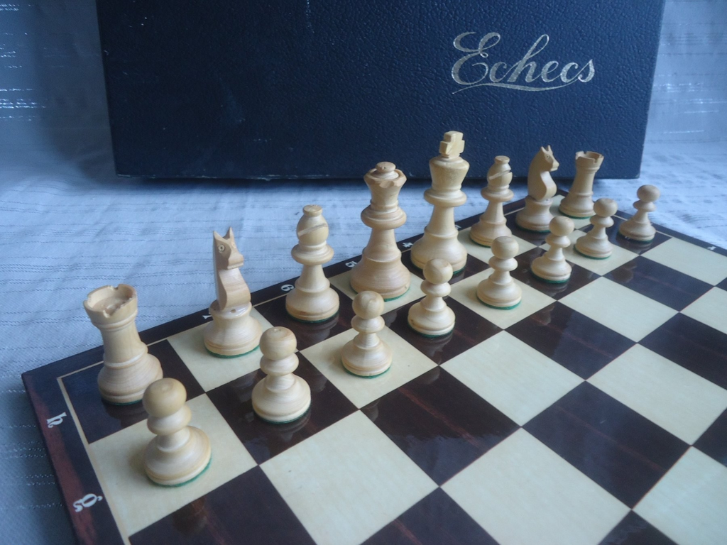 Image #13