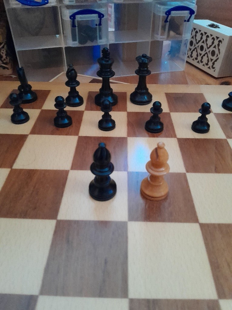 Image #16